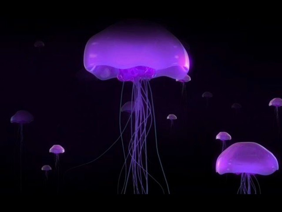 Chris Jones - If U Love Me