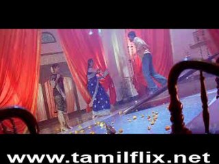 DvDRip-New-2004-x264-1CDRip_1