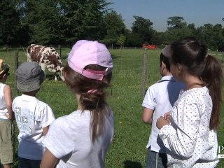 Une ferme en pleine activité à Paris