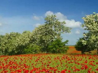 London 2012: The Olympic Games in figures