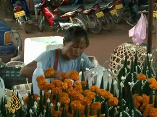 Edible bugs beat hunger in Laos