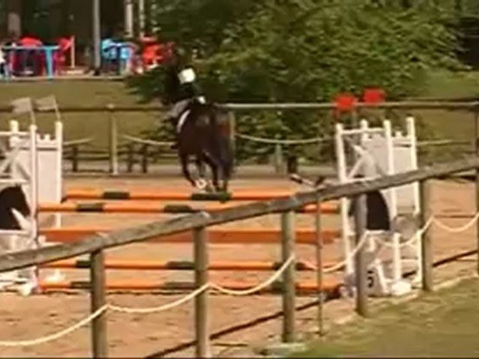 Elevage du Banier / Sibelius cso