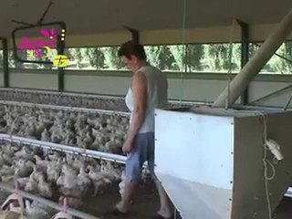 JT agri85TV du vendredi 27 juillet 2012