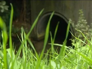 Pollution à Bolbec: comme un poison dans l'eau