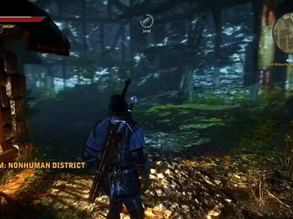 [S3][P2] The Witcher 2