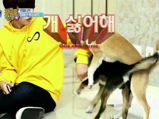BOAF Infinite ep 13 parte 1-6 sub español