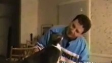 chat qui parle