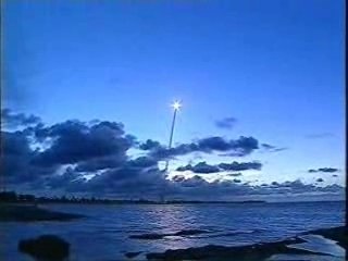 Doc La loi de la jungle