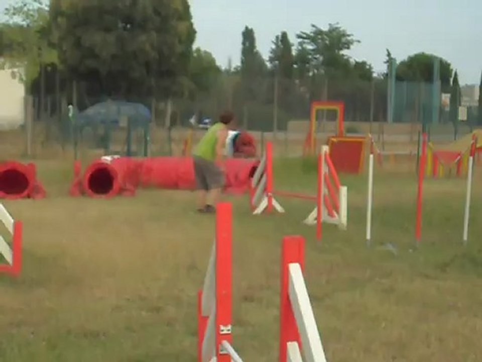 agjlity fatal