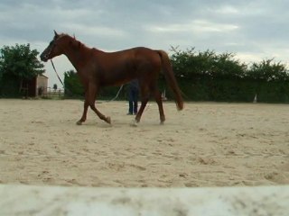 Longe du 26 juillet