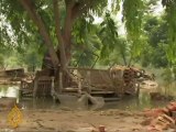 Pakistan tops Asia in deforestation