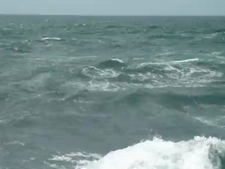 L'océan et la fête nationale