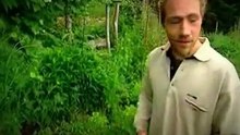Permaculture en montagne