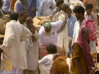 Pakistan floods affect livestock prices
