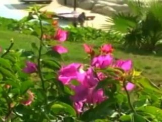 i furbetti delle multiproprieta