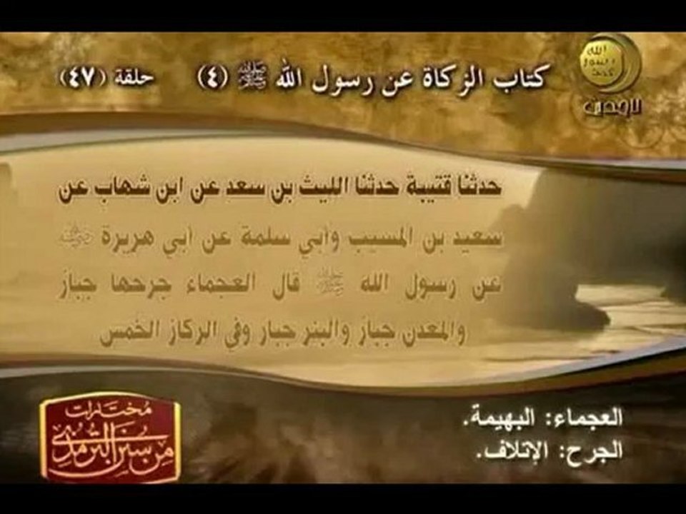 كتاب الزكاة من صحيح الترمذي