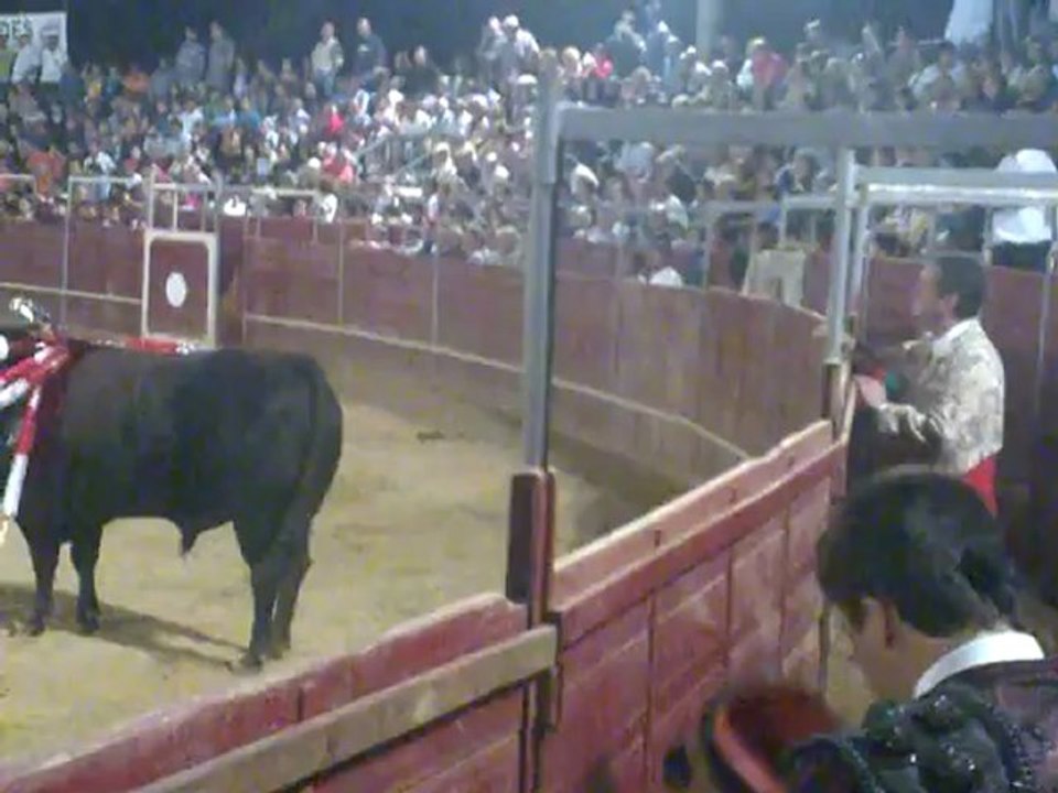 FORCADOS AMADORES DE RIACHOS PEGA DE NUNO GAMEIRO A UM TOIRO DE MURTEIRA GRAVE EM RIACHOS