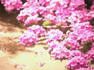 Indian Hospital - Web promo clip 1