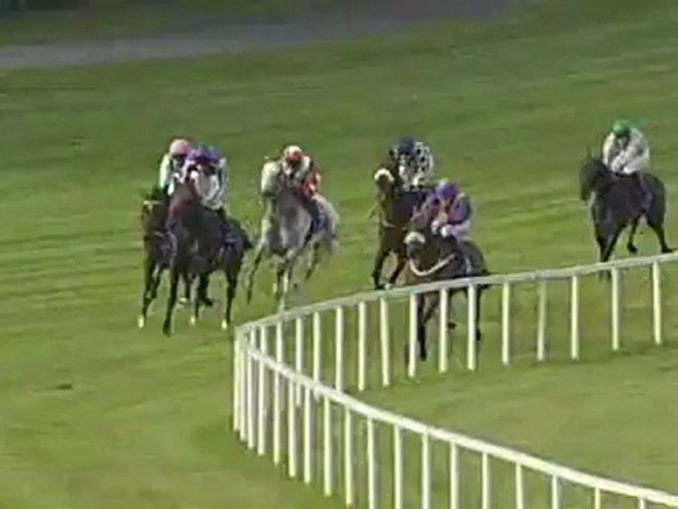 26.07.2012 Leopardstown (IRL) 4.Race Meld Stakes 2012 - Group III  1.811 m Winner: Famous Name