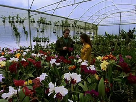 Globo Repórter 27-07-2012 Parte 4 Flores do Brasil