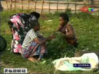 Evaluation du projet de valorisation des produits forestiers non ligneux