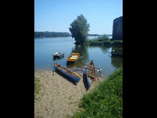 d'une rive a l'autre ces jeux artistiques en Loire faune flore