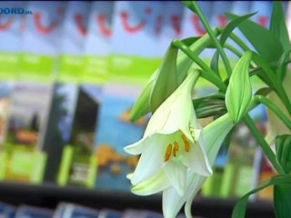 Noord Vandaag [27-7-2012] - RTV Noord