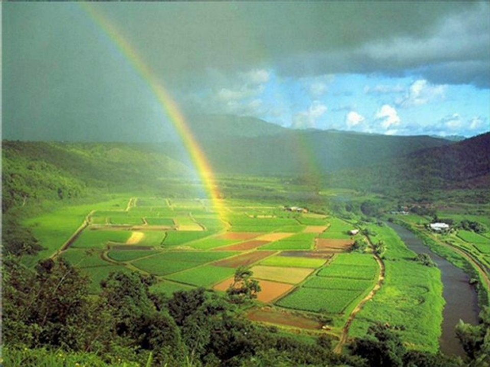 AĞRI EVDEN EVE NAKLİYAT 0462 323 04 04