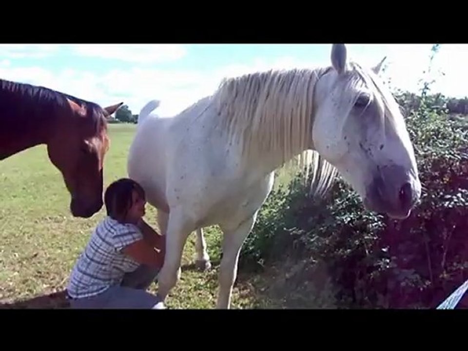 Centre Equestre Les Rollats: "Doudou d'Amour" Kenzo & Moi