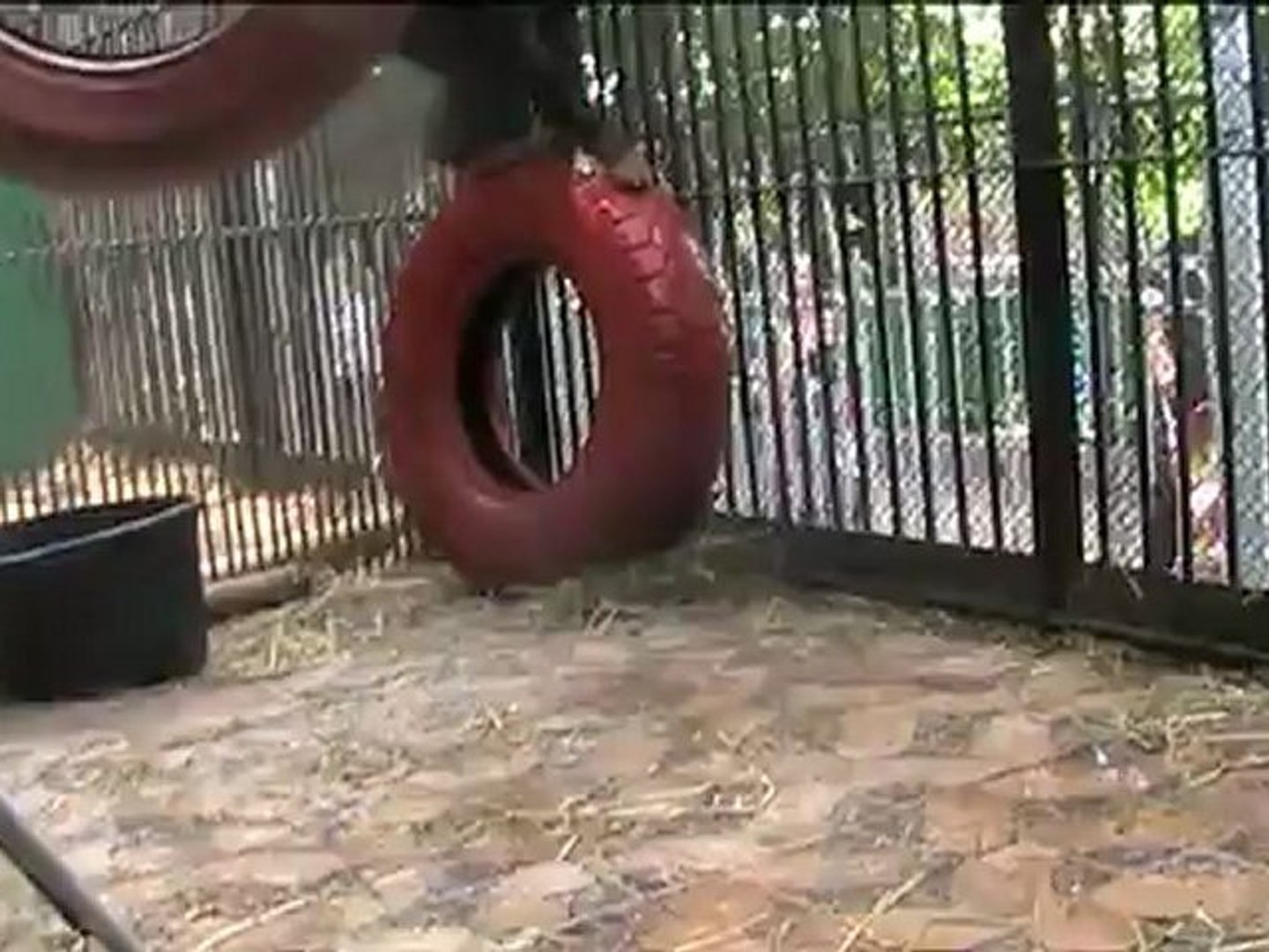 ⁣Водные забавы Ники