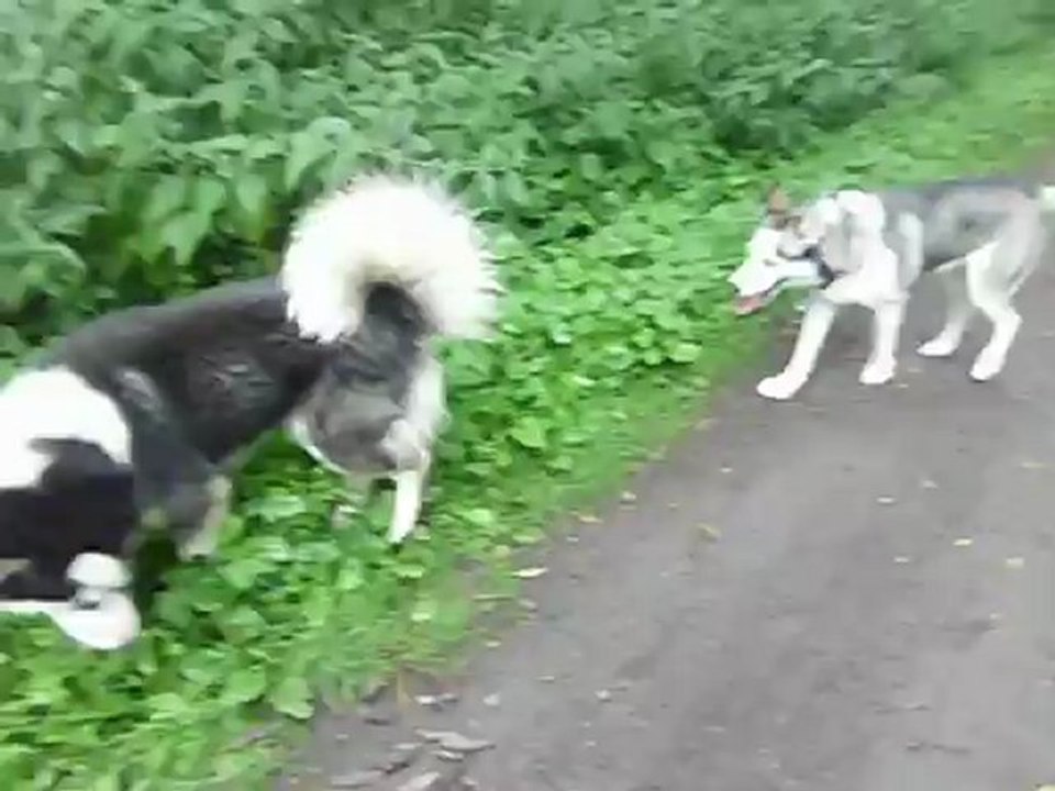 Ajax und Oriantha (8)