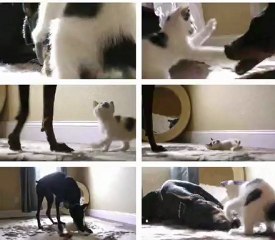 Never judge too quickly...