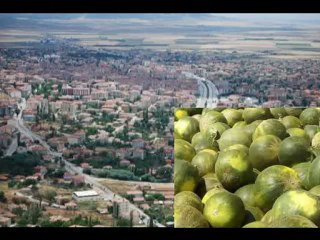 GÜRSEL UGURLU.BEN SILAMA DÖNEMEDIM.[SEREFLIKOÇHISAR]