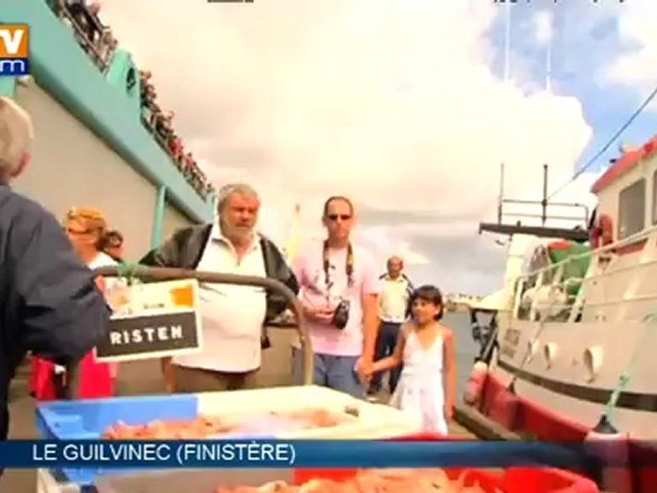 Série gastronomie : la langoustine bretonne, un produit d’exception