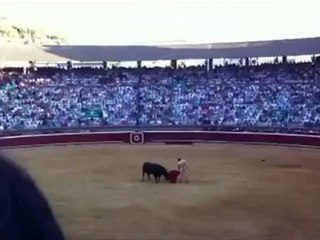 José Tomás, Huelva 2011