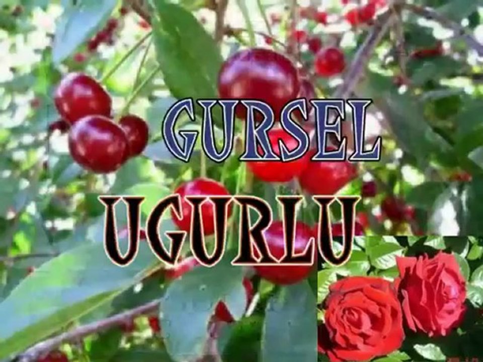 GÜRSEL UGURLU.DAYI KIZI.[SEREFLIKOÇHISAR]