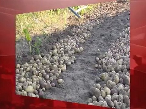 Часть 4. Мифы и странности Второй Отечественной