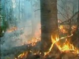 Russia battles forest fires