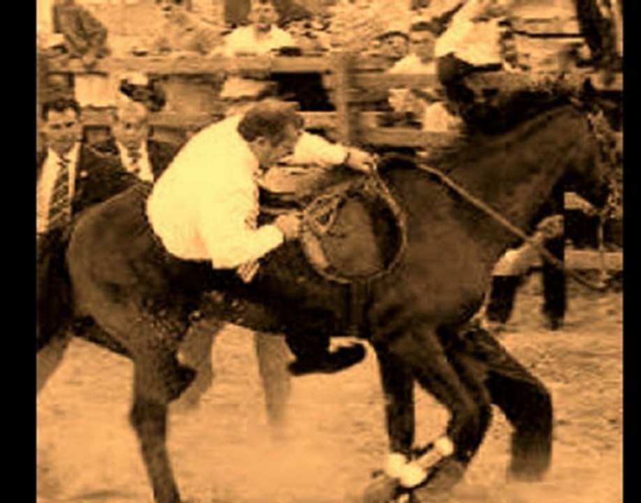 Yanliz Kovboy