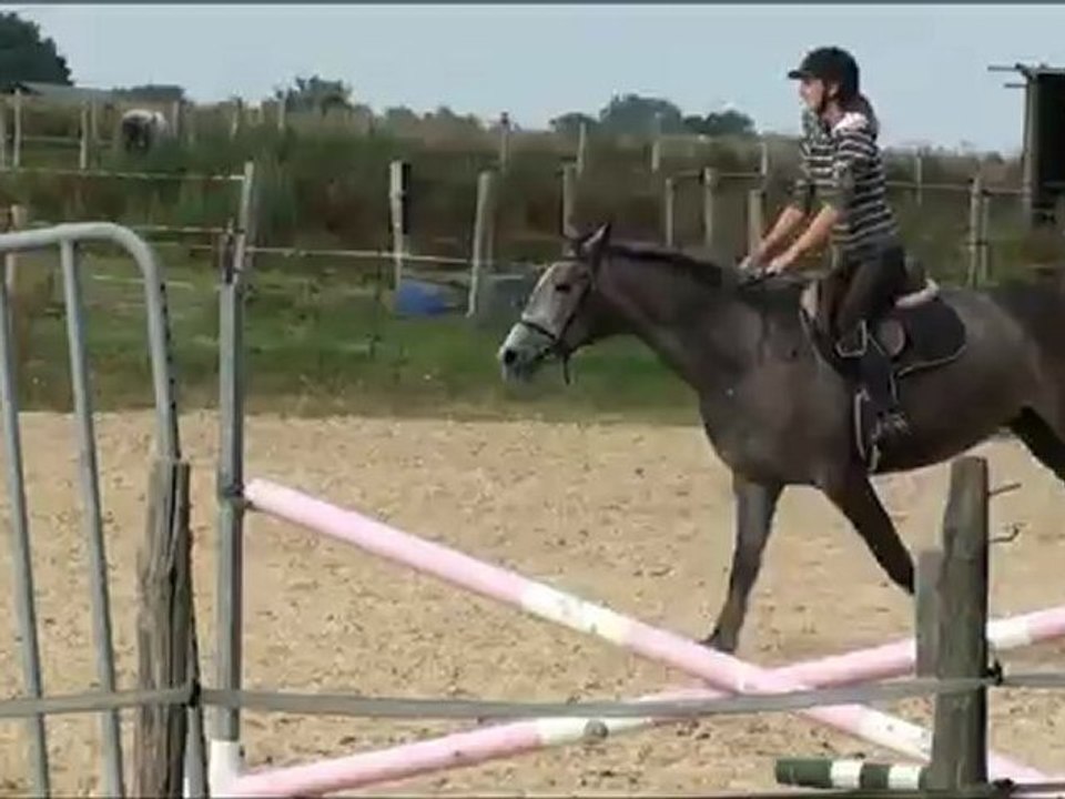 Vivaldie - Juillet 2012