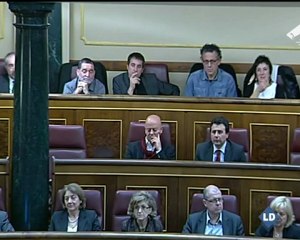 Odón Elorza y Erkoreka, con Amaiur: la Constitución por imperativo legal