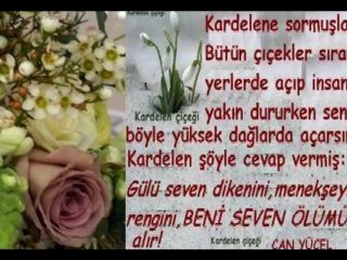 NURGÜL & MEHMET KARAKOYUN  ÇİFTİNİN 26. EVLİLİK YILDÖNÜMÜ ANISINA