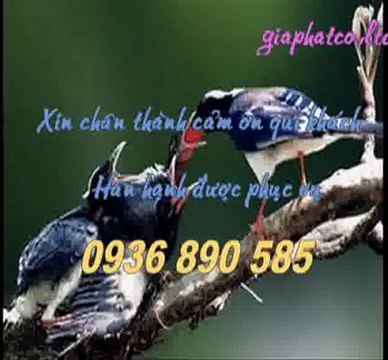 Sua nha chong tham tai quan 7 tphcm call 0936 890 585