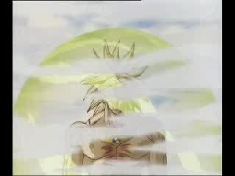 Broly Fight
