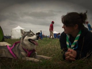 Le off de Vis tes Rêves!  Interview d’un chien de traineau !