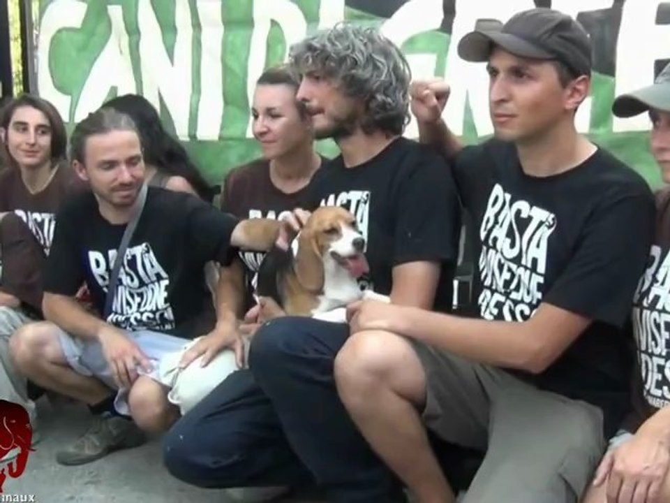"Végan" le premier beagle adopté depuis la fermeture de Green Hill