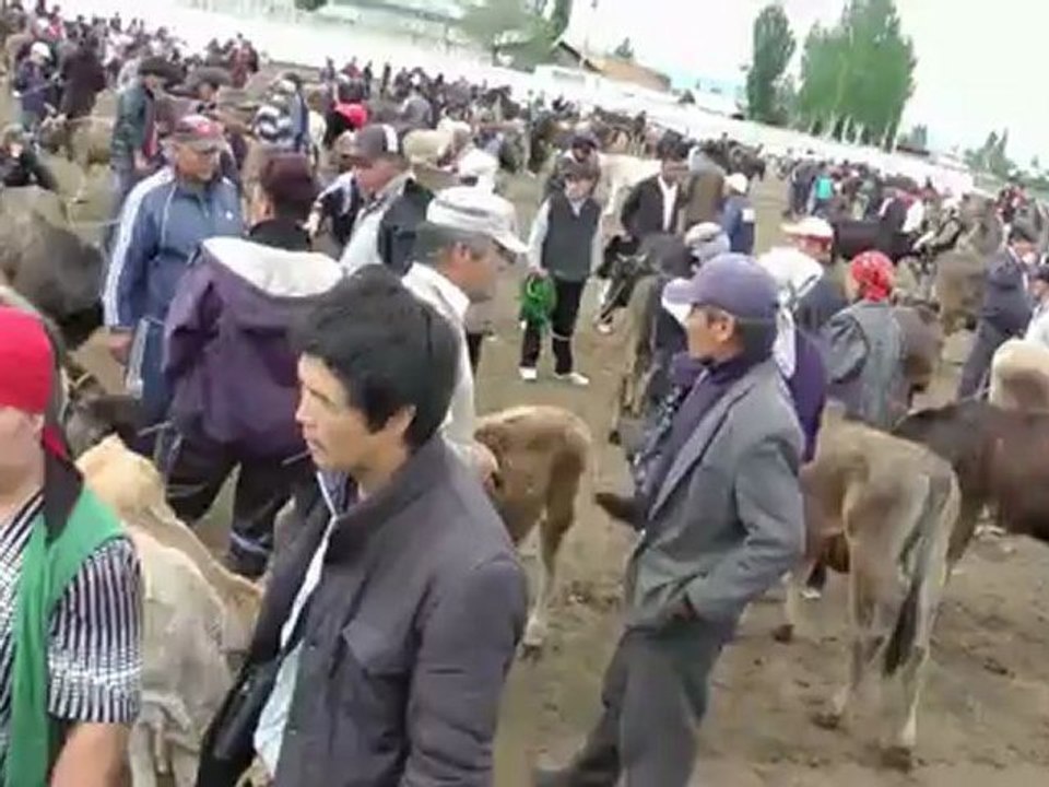 Vidéo  : Marché de Karakol