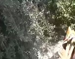 Syria فري برس  درعا جانب اخر من اثر القصف العنيف على مخيمات27 7 2012 Daraa