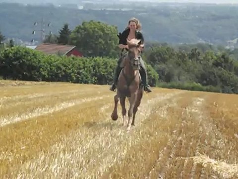 Kaizer galop champs paille :)