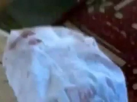 Syria فري برس درعا خربة غزالة آثار الدمار الذي خلفه القصف المدفعي الاثنين 23 7 2012 جـ3 Daraa